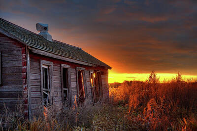 Birds Photo Rights Managed Images - Chicken Coop Sunrise - Abandoned Stensby Homestead in ND Royalty-Free Image by Peter Herman