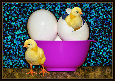 Animals Digital Art Rights Managed Images - Chicks Royalty-Free Image by Constance Lowery