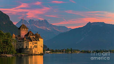 Vine Ripened Tomatoes - Chillon Castle 1 by Henk Meijer Photography