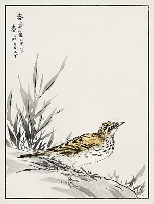 Childrens Room Animal Art - Chinese Tree-Pipit and Wheat illustration from Pictorial Monograph of Birds  1885  by Numata Kashu   by Celestial Images
