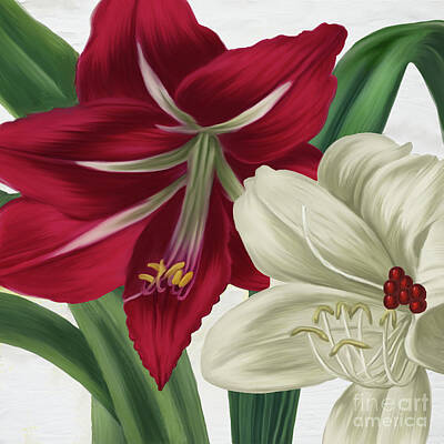 Kitchen Food And Drink Signs - Christmas Amaryllis II by Mindy Sommers