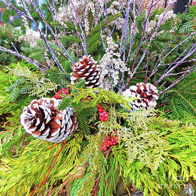 Roaring Red - Christmas Cones by Sharon Williams Eng
