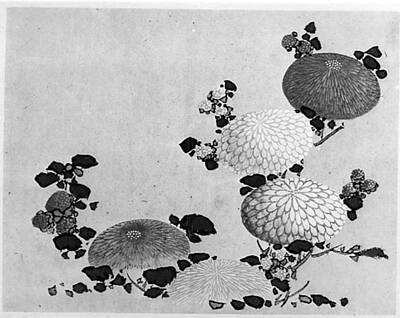 Staff Picks - Chrysanthemums   Hokusai School by Chrysanthemums