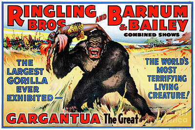 Animals Drawings - Circus Vintage Advertising Poster Restored by Vintage Treasure