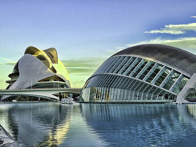 Sean - City of Arts and Sciences  # 19 - Valencia by Allen Beatty