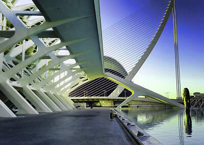 Keith Richards - City of Arts and Sciences  # 22 - Valencia by Allen Beatty
