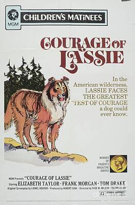 Kitchen Mark Rogan - Classic Movie Poster - Courage of Lassie by Esoterica Art Agency