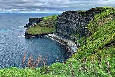 Sultry Plants Rights Managed Images - Cliffs of Moher II Royalty-Free Image by Frozen in Time Fine Art Photography