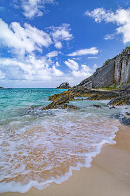 Wild And Wacky Portraits - Coastal Paradise Bermuda by Betsy Knapp