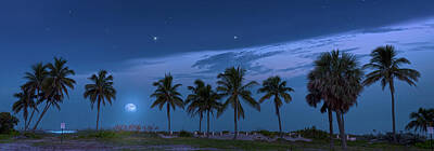 Mark Andrew Thomas Royalty Free Images - Coconut Moon Royalty-Free Image by Mark Andrew Thomas