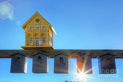 Wilderness Camping - Contrasting bird boxes by Conceptual Images