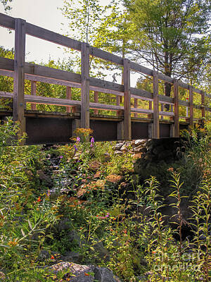 Botanical Farmhouse - Coos Footbridge by Alesia Kaye Stein