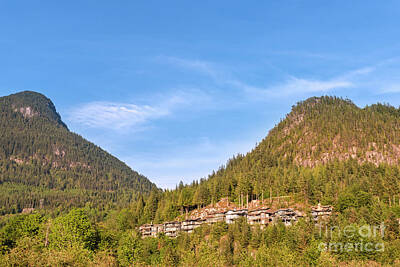 Outerspace Patenets Rights Managed Images - Cottages in the forest among the mountains Royalty-Free Image by Viktor Birkus