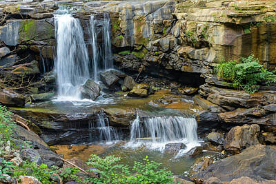 Forest Landscape - Cotton Hill Waterfall by Norma Brandsberg