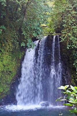 Vintage Ford - Danta Waterfall Arenal Volcano by Marlin and Laura Hum
