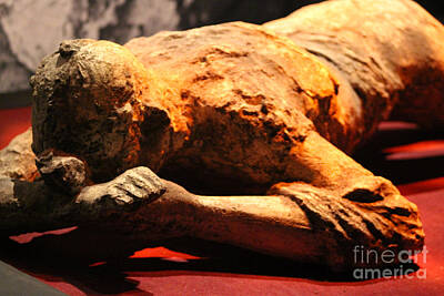 Monets Water Lilies - Day In The Life of Pompeii Exhibit Figure Laying Hiding Face by Colleen Cornelius