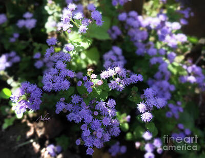 Curated Travel Chargers - Dorset Street Vermont Community Gardens Violet Blooms by Felipe Adan Lerma