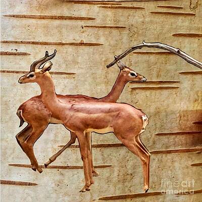 Vintage Performace Cars Rights Managed Images - Double Deer  Royalty-Free Image by Susan Garren