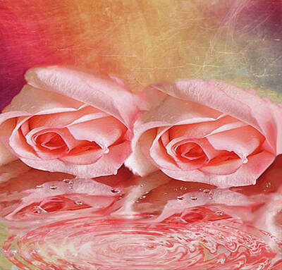 Roses Mixed Media Royalty Free Images - Double Reflection Royalty-Free Image by Dennis Buckman