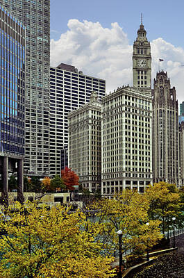 United States Map Designs - Downtown Chicago - Trees and Buildings by Carlos Alkmin