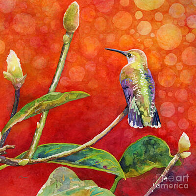 Royalty-Free and Rights-Managed Images - Dreamy Hummer - Hummingbird by Hailey E Herrera