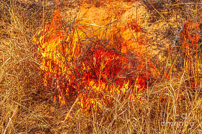 Art History Meets Fashion Rights Managed Images - Dry season grass fire Royalty-Free Image by Benny Marty