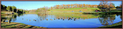 Birds Photos - Ducks On A Peaceful Pond by Constance Lowery