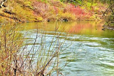 Jerry Sodorff Photos - Early Spring Yamhill River by Jerry Sodorff