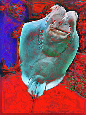 Travel Pics Digital Art Royalty Free Images - ELECTRIC RAY. Underwater world. Royalty-Free Image by Andy i Za