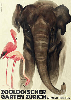 Juj Winn - Elephant and Flamingos Vintage Zoo Poster by Mindy Sommers