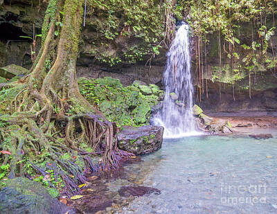 Studio Grafika Vintage Posters - Emerald Pool Waterfall in Dominica by Bobby Griffiths