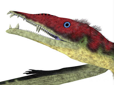 Pasta Al Dente Royalty Free Images - Eudimorphodon Pterosaur Head Royalty-Free Image by Corey Ford