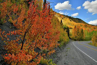 Royalty-Free and Rights-Managed Images - Evening on Fall Colors along Million Dollar Highway by Ray Mathis