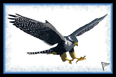 Little Mosters - Falcon Blue by College Mascot Designs