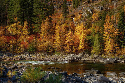 Claude Monet Royalty Free Images - Fall colors stevens pass 12 Royalty-Free Image by Mike Penney