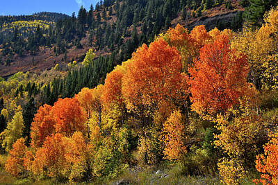 American Milestones Rights Managed Images - Fall Comes to McClure Pass Area Royalty-Free Image by Ray Mathis