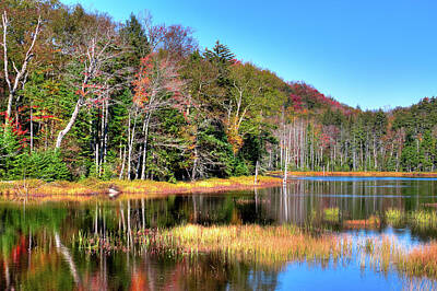 Cities Royalty Free Images - Fall Day at Fly Pond Royalty-Free Image by David Patterson