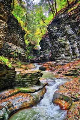 Wine Down Rights Managed Images - Fall in the Gorge at Watkins Glen State Park - Finger Lakes, New York Royalty-Free Image by Lynn Bauer