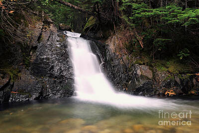 Comics Photos - Finding a waterfall  by Jeff Swan