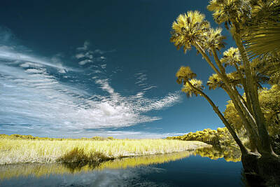 Spaces Images - Florida State Park by Jon Glaser