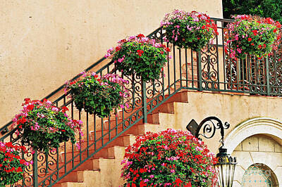 Iconic Women - Flower Basket Wrought Iron Staircase by Diann Fisher