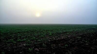 Jerry Sodorff Photos - Foggy Sunrise Field by Jerry Sodorff