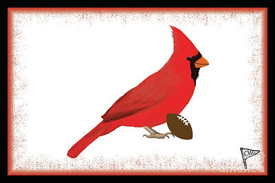 Birds Digital Art - Football Cardinal by College Mascot Designs