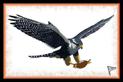 Sports Royalty-Free and Rights-Managed Images - Football Falcon Orange by College Mascot Designs