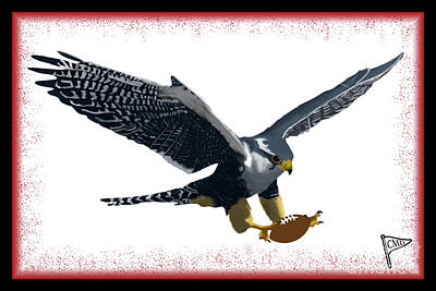 Football Royalty-Free and Rights-Managed Images - Football Falcon Red by College Mascot Designs