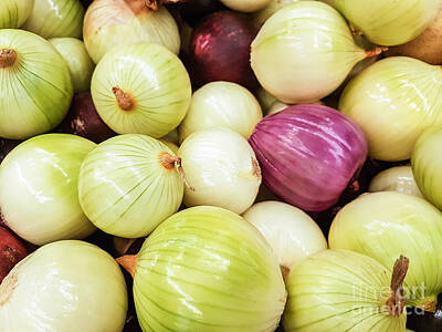 College Town - Fresh raw onions background by Wdnet Studio