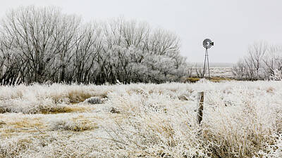 Western Buffalo Royalty Free Images - Frozen Kansas Royalty-Free Image by The Bohemian Lens LLC