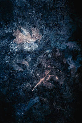 Winter Animals - Frozen Leaves by Allin Sorenson