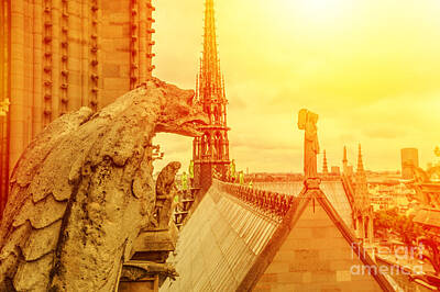 Paris Skyline Photos - gargoyle of Notre Dame at sunset by Benny Marty