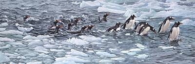Animals Paintings - Gentoo Penguins by Alan M Hunt by Alan M Hunt